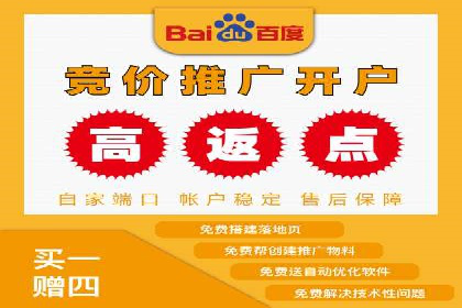 某知名企业竞价推广策略全解析